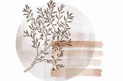 封禁现场：黑料网披露选手后台背景，被指公关失败