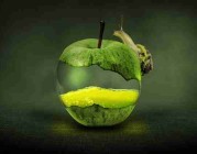 用户运营策略-成人版抖音内容热度飙升趋势分析